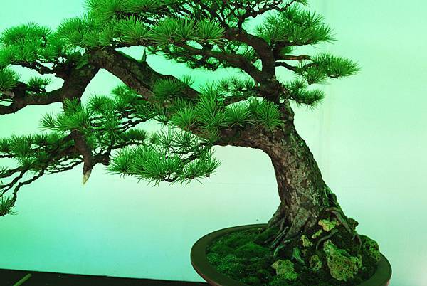 DSC_6193.jpg DSC_6193.jpg