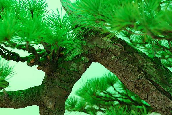 DSC_6195.jpg DSC_6195.jpg