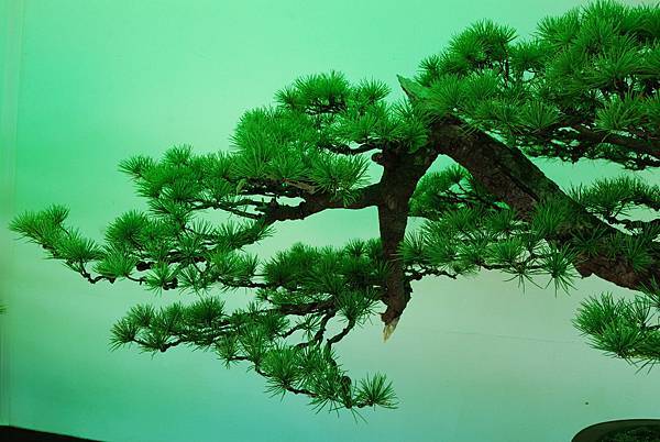 DSC_6194.jpg DSC_6194.jpg