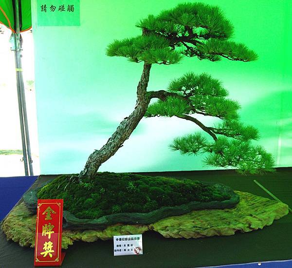 DSC_6197.jpg DSC_6197.jpg