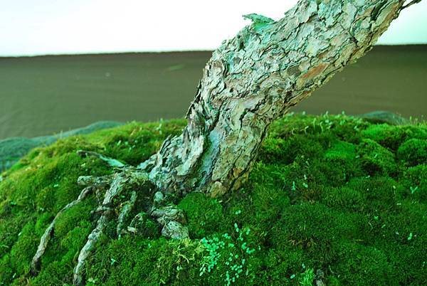 DSC_6199.jpg DSC_6199.jpg