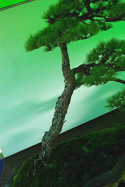 DSC_6200.jpg DSC_6200.jpg