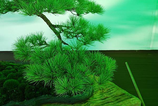 DSC_6204.jpg DSC_6204.jpg