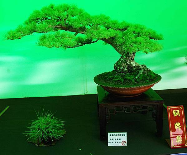 DSC_6205.jpg DSC_6205.jpg