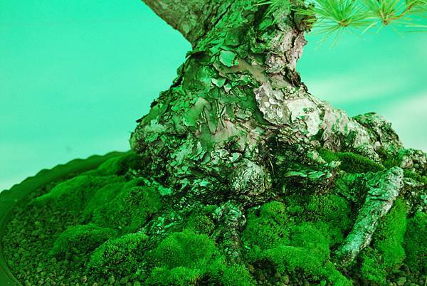 DSC_6209.jpg DSC_6209.jpg