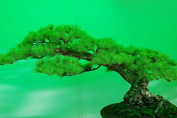 DSC_6210.jpg DSC_6210.jpg