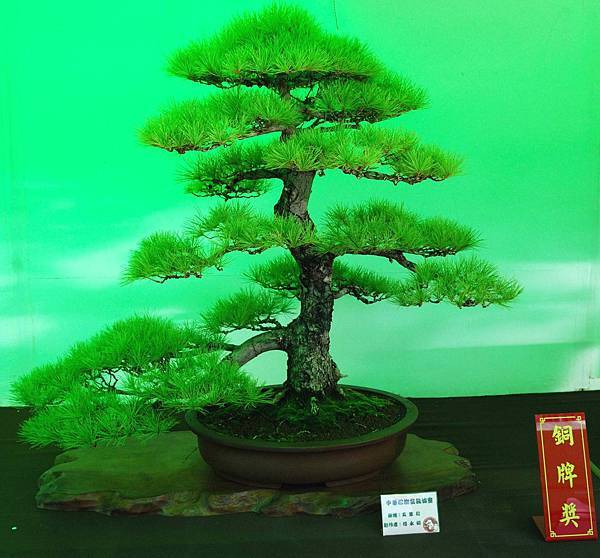 DSC_6213.jpg DSC_6213.jpg