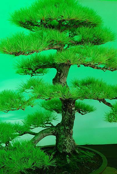 DSC_6217.jpg DSC_6217.jpg