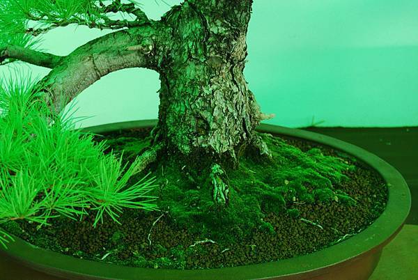 DSC_6218.jpg DSC_6218.jpg