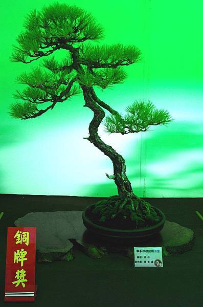 DSC_6220.jpg DSC_6220.jpg