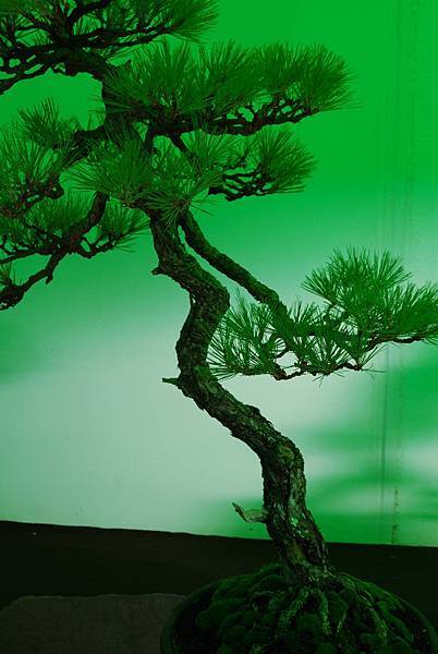 DSC_6224.jpg DSC_6224.jpg