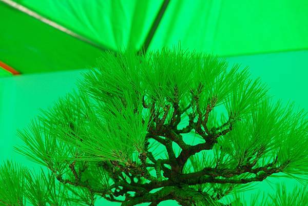 DSC_6227.jpg DSC_6227.jpg