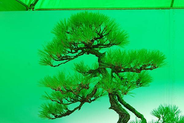 DSC_6226.jpg DSC_6226.jpg