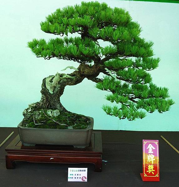 DSC_6228.jpg DSC_6228.jpg