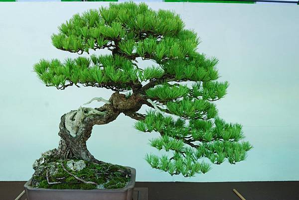 DSC_6238.jpg DSC_6238.jpg