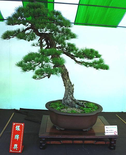 DSC_6241.jpg DSC_6241.jpg