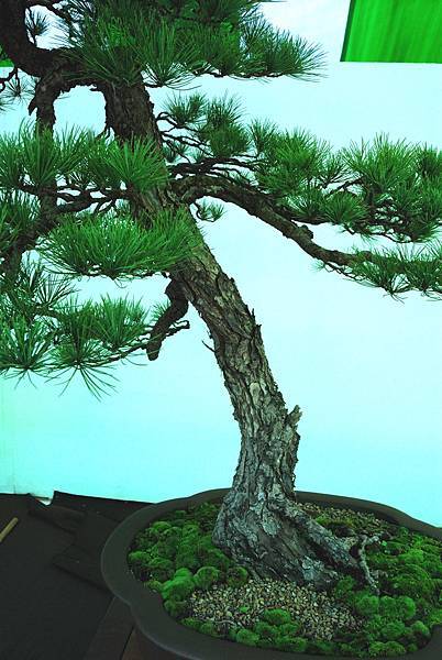 DSC_6244.jpg DSC_6244.jpg