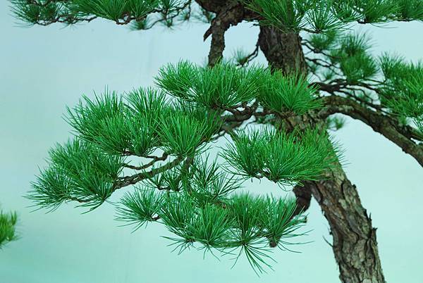 DSC_6246.jpg DSC_6246.jpg