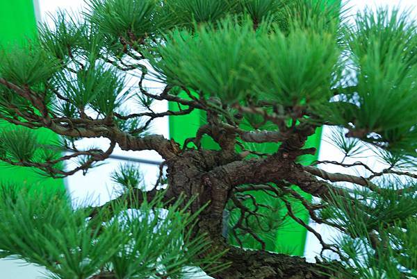 DSC_6248.jpg DSC_6248.jpg