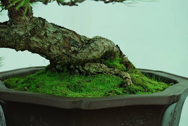 DSC_6251.jpg DSC_6251.jpg