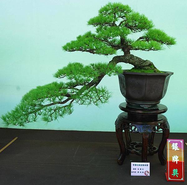 DSC_6249.jpg DSC_6249.jpg