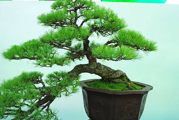 DSC_6252.jpg DSC_6252.jpg