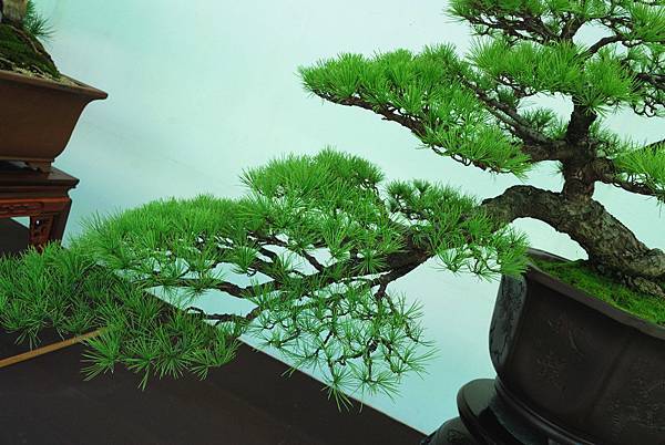 DSC_6253.jpg DSC_6253.jpg