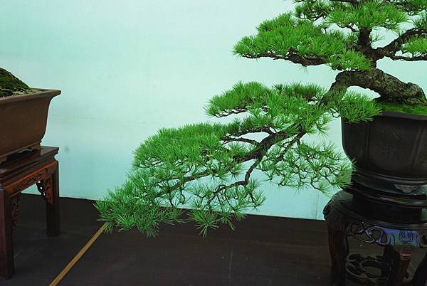 DSC_6254.jpg DSC_6254.jpg