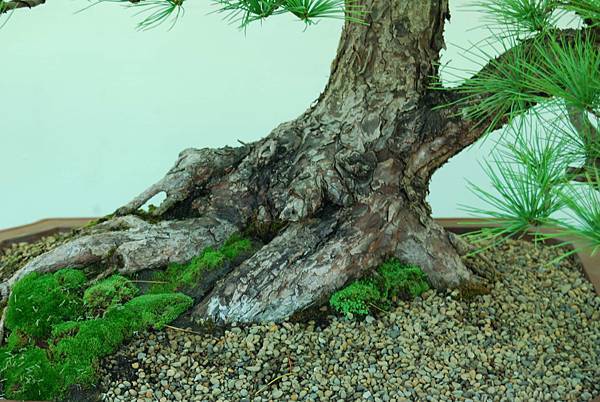 DSC_6257.jpg DSC_6257.jpg