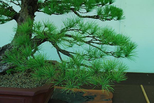 DSC_6263.jpg DSC_6263.jpg