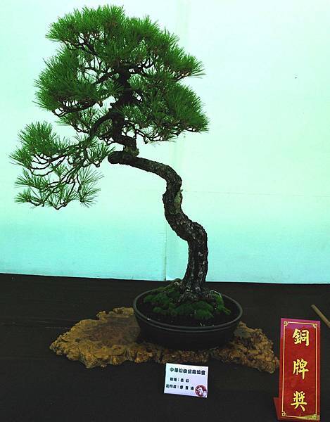 DSC_6264.jpg DSC_6264.jpg