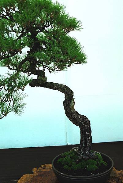 DSC_6268.jpg DSC_6268.jpg