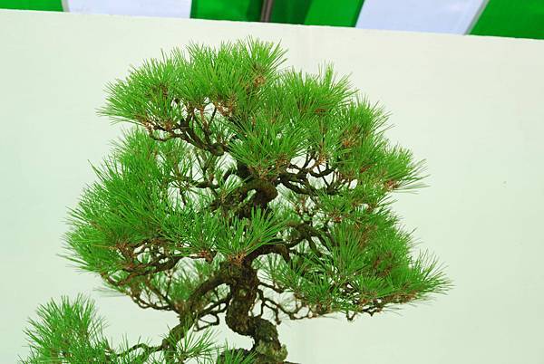 DSC_6270.jpg DSC_6270.jpg