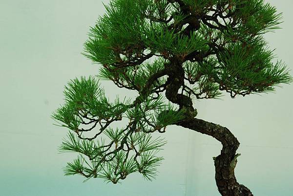 DSC_6271.jpg DSC_6271.jpg