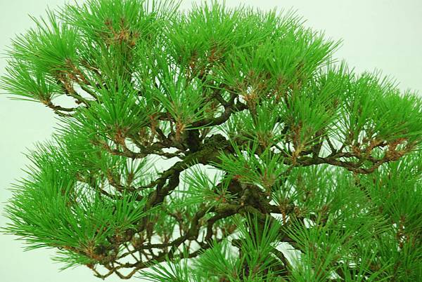 DSC_6272.jpg DSC_6272.jpg