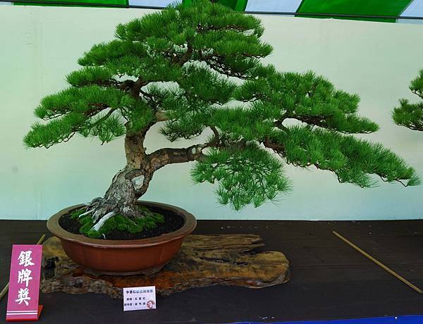 DSC_6273.jpg DSC_6273.jpg