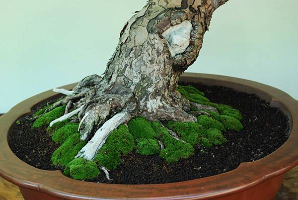 DSC_6275.jpg DSC_6275.jpg