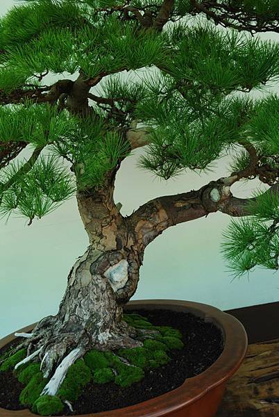 DSC_6277.jpg DSC_6277.jpg