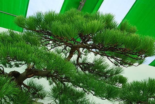 DSC_6279.jpg DSC_6279.jpg