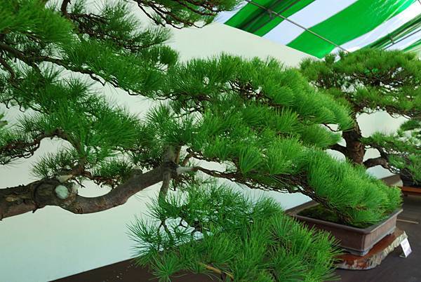 DSC_6281.jpg DSC_6281.jpg