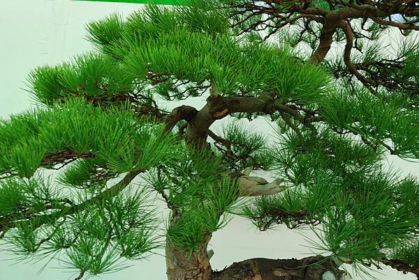 DSC_6280.jpg DSC_6280.jpg