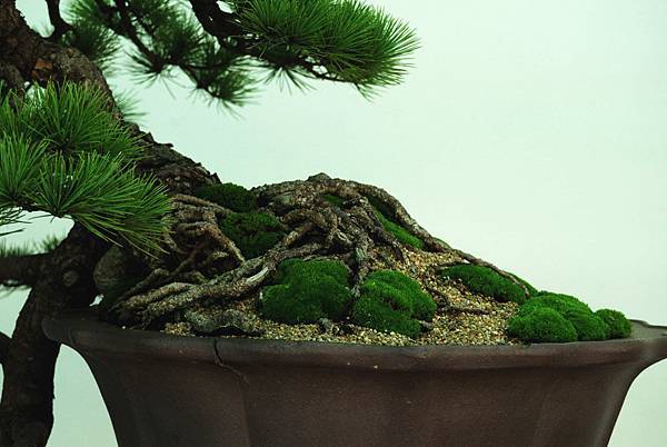 DSC_6284.jpg DSC_6284.jpg