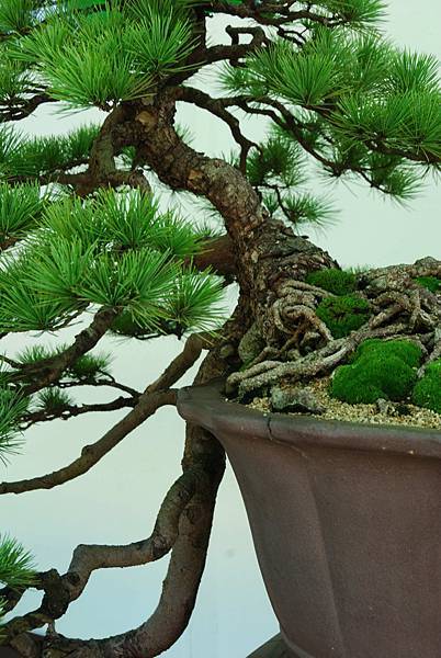 DSC_6286.jpg DSC_6286.jpg