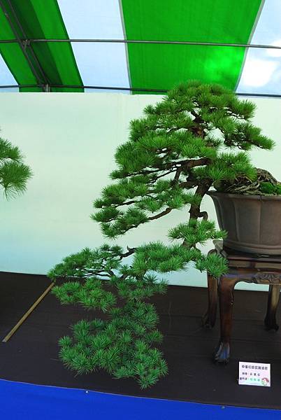 DSC_6289.jpg DSC_6289.jpg