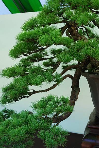 DSC_6288.jpg DSC_6288.jpg