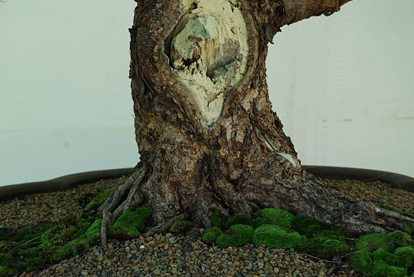 DSC_6293.jpg DSC_6293.jpg