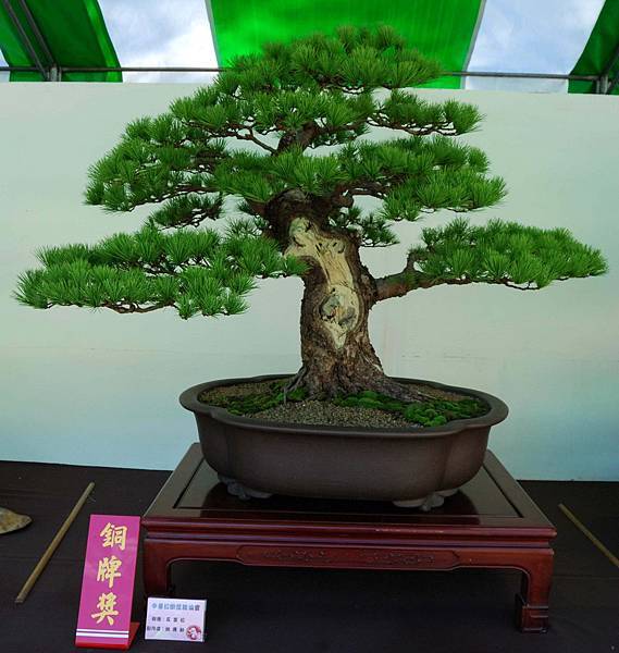 DSC_6291.jpg DSC_6291.jpg