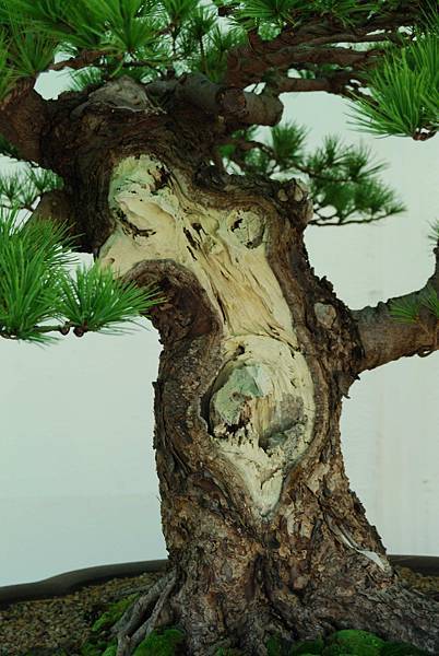 DSC_6294.jpg DSC_6294.jpg