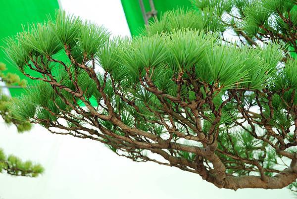 DSC_6297.jpg DSC_6297.jpg