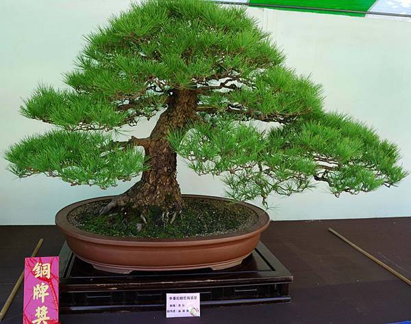 DSC_6299.jpg DSC_6299.jpg